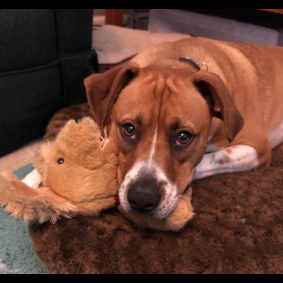 Lori & Roadie say hi! - Picture 7 of 15